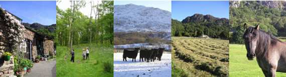holiday cottage cumbria #01