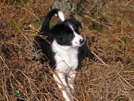 holiday cottage lake district #03